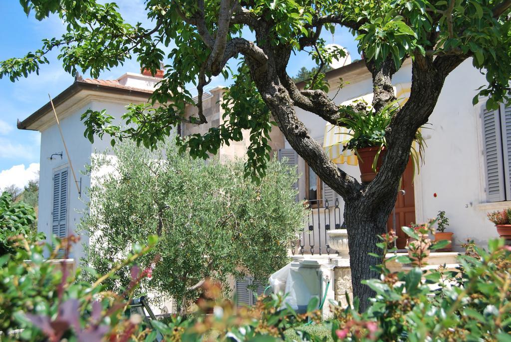 Bed And Breakfast Il Cappero Rapolano Terme Exteriér fotografie